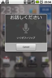 voice